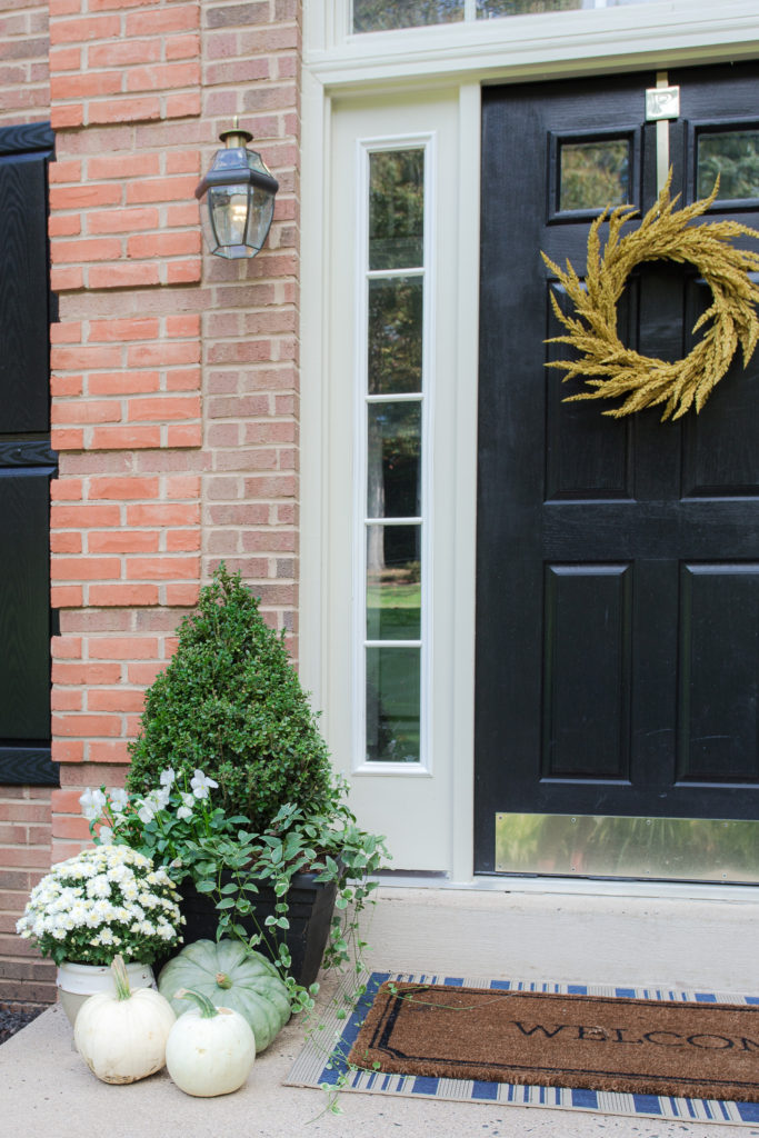 Elements of a Simple Fall Front Door