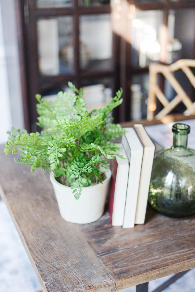 Green potted plant on desk with books.